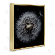 Andre Eichman | Close Up Dandelion Petals