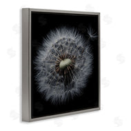 Andre Eichman | Close Up Dandelion Petals