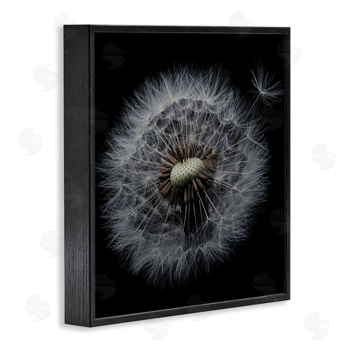 Close Up Dandelion Petals Black Frame Print Wall Art, Home Decor by Andre Eichman