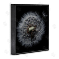 Andre Eichman | Close Up Dandelion Petals