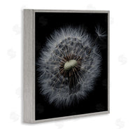 Andre Eichman | Close Up Dandelion Petals