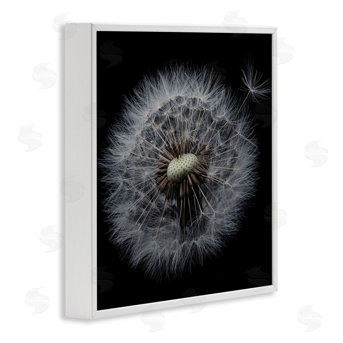 Close Up Dandelion Petals White Frame Print Wall Art, Home Decor by Andre Eichman