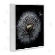 Andre Eichman | Close Up Dandelion Petals