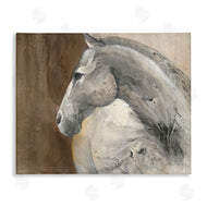 Albena Hristova | Horse Portrait Looking Back