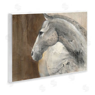 Albena Hristova | Horse Portrait Looking Back