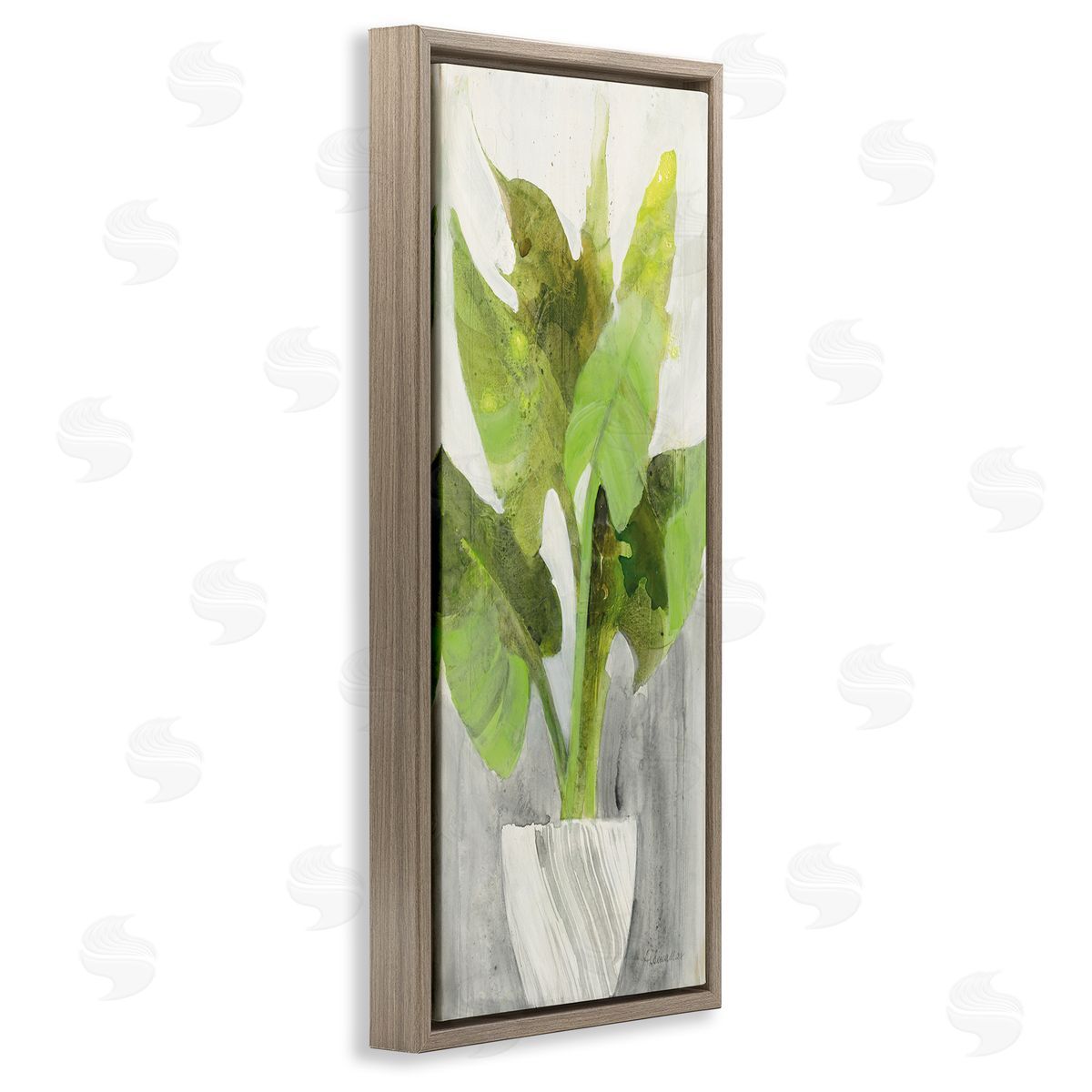 Large Plant in White Planter Brown Floating Frame Canvas Wall Art, Home Decor by Albena Hristova