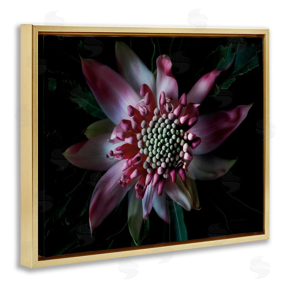 Close Up Flower Pistil Details Gold Floating Frame Canvas Wall Art, Home Decor by Elise Catterall