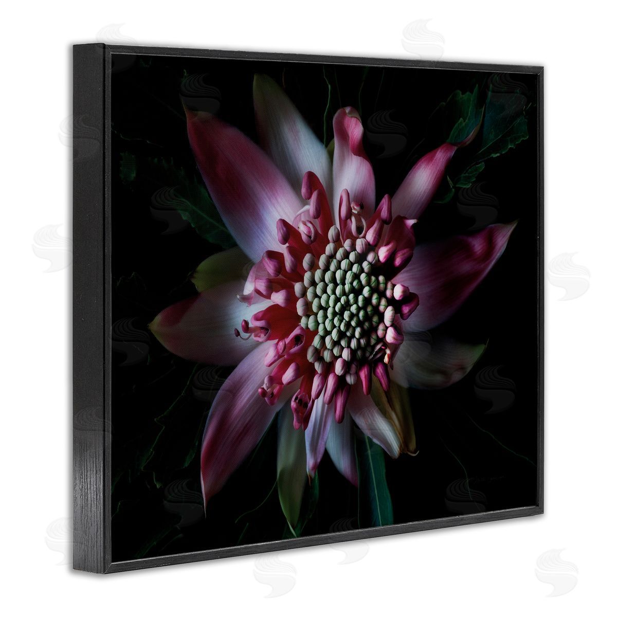 Close Up Flower Pistil Details Black Frame Print Wall Art, Home Decor by Elise Catterall