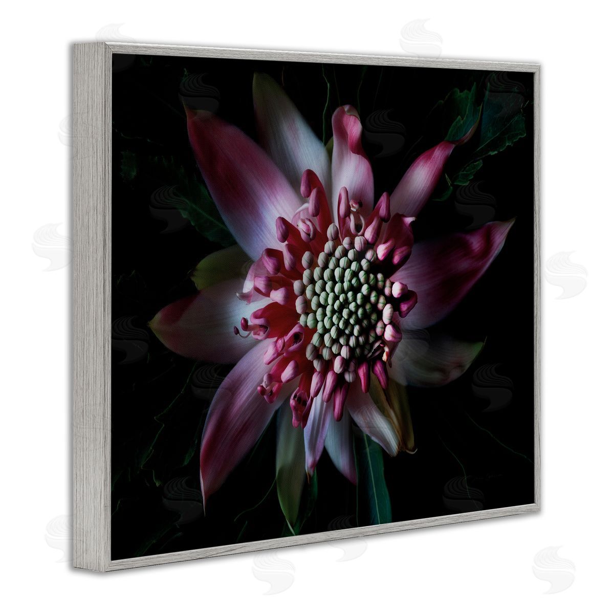 Close Up Flower Pistil Details Grey Frame Print Wall Art, Home Decor by Elise Catterall