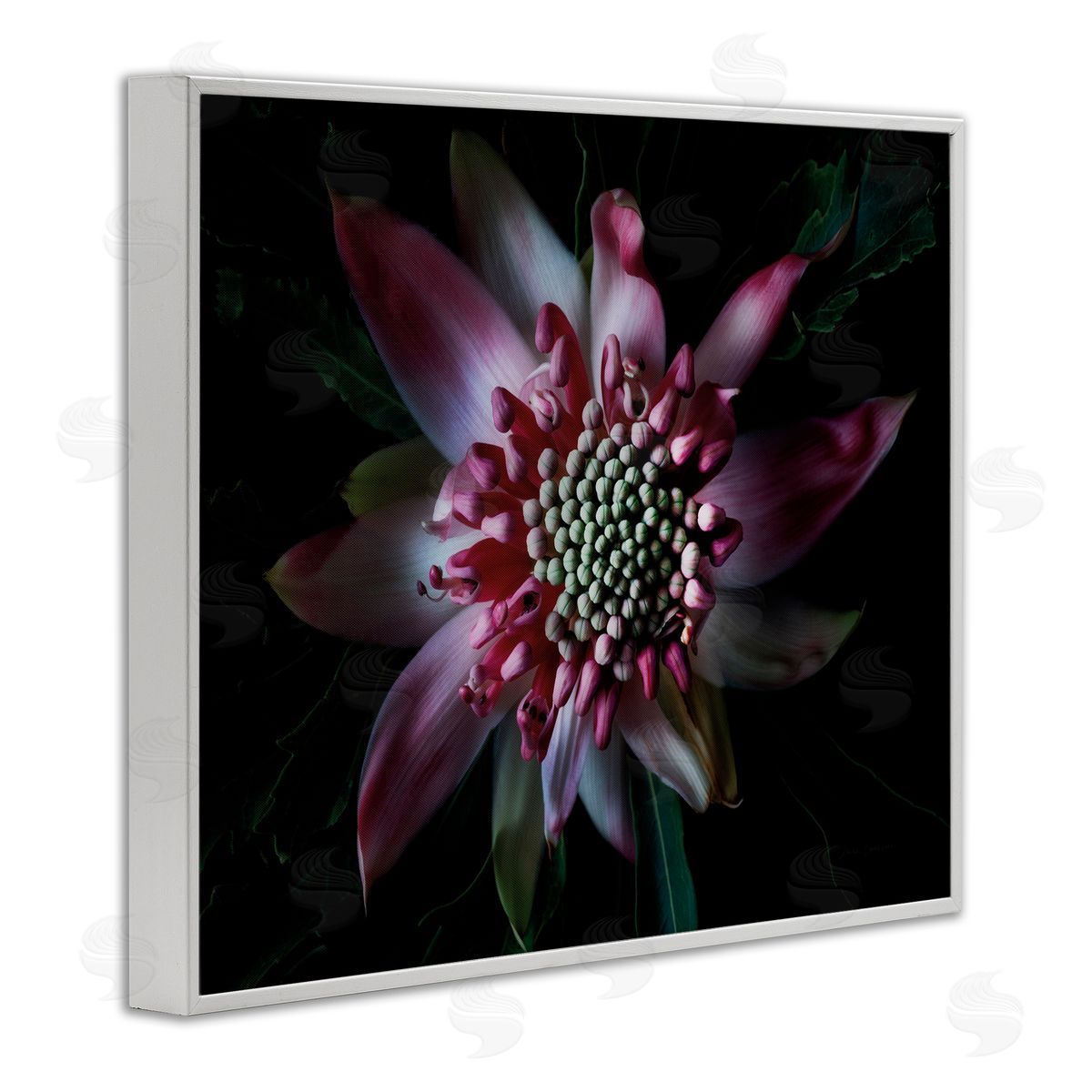 Close Up Flower Pistil Details White Frame Print Wall Art, Home Decor by Elise Catterall