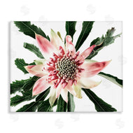 Elise Catterall | Close Up Flower Anther Photograph