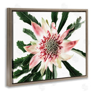 Elise Catterall | Close Up Flower Anther Photograph