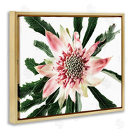 Elise Catterall | Close Up Flower Anther Photograph