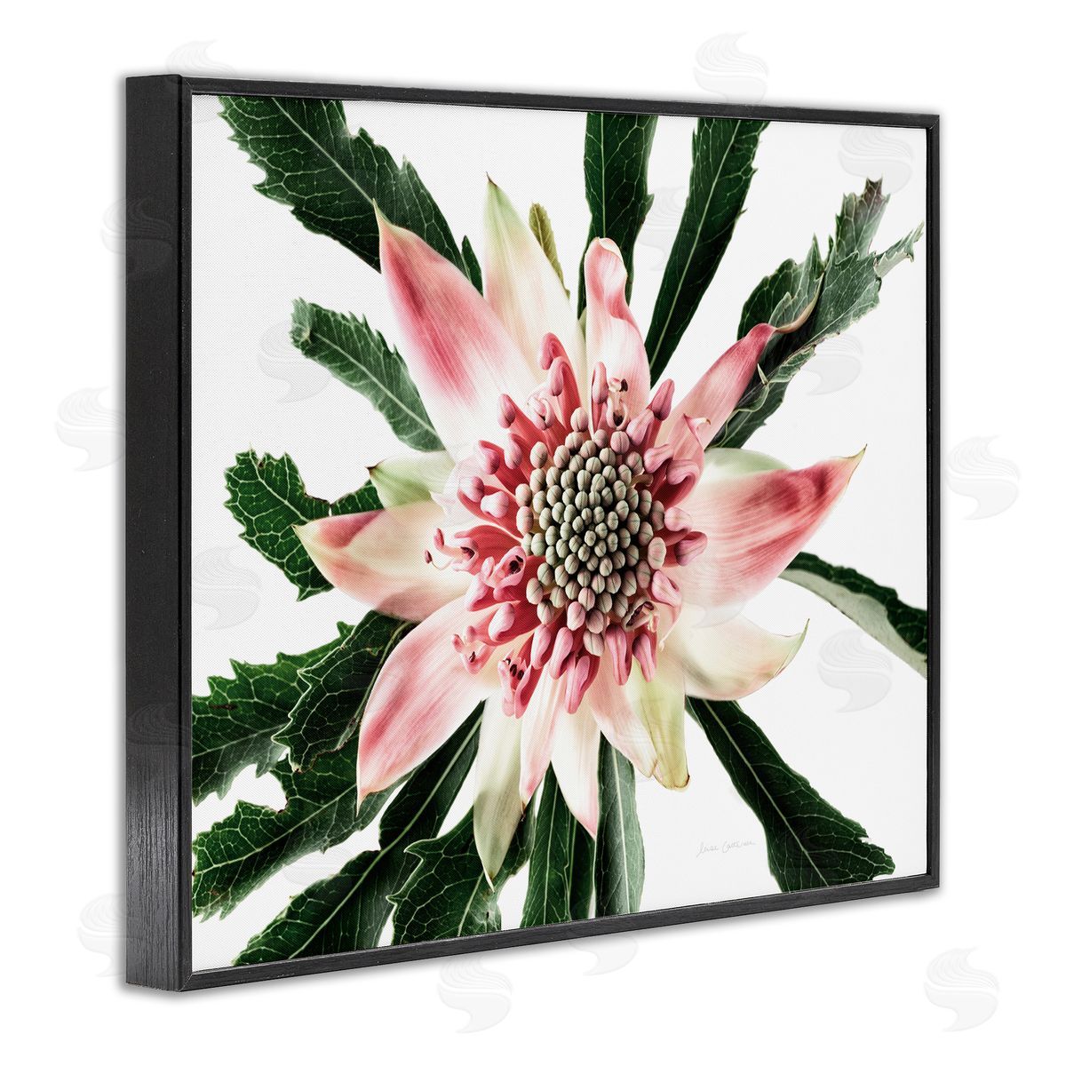 Close Up Flower Anther Photograph Black Frame Print Wall Art, Home Decor by Elise Catterall