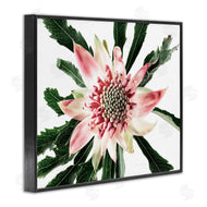 Elise Catterall | Close Up Flower Anther Photograph