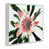 Elise Catterall | Close Up Flower Anther Photograph