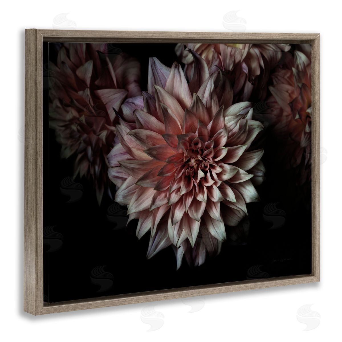 Aged Flower Petal Photograph Brown Floating Frame Canvas Wall Art, Home Decor by Elise Catterall