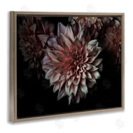 Elise Catterall | Aged Flower Petal Photograph