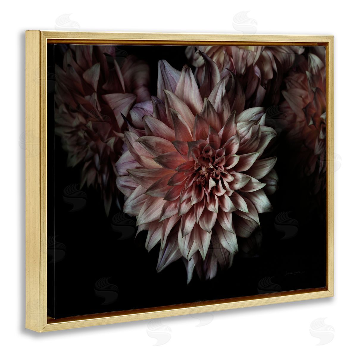 Aged Flower Petal Photograph Gold Floating Frame Canvas Wall Art, Home Decor by Elise Catterall
