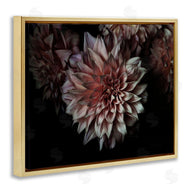 Elise Catterall | Aged Flower Petal Photograph