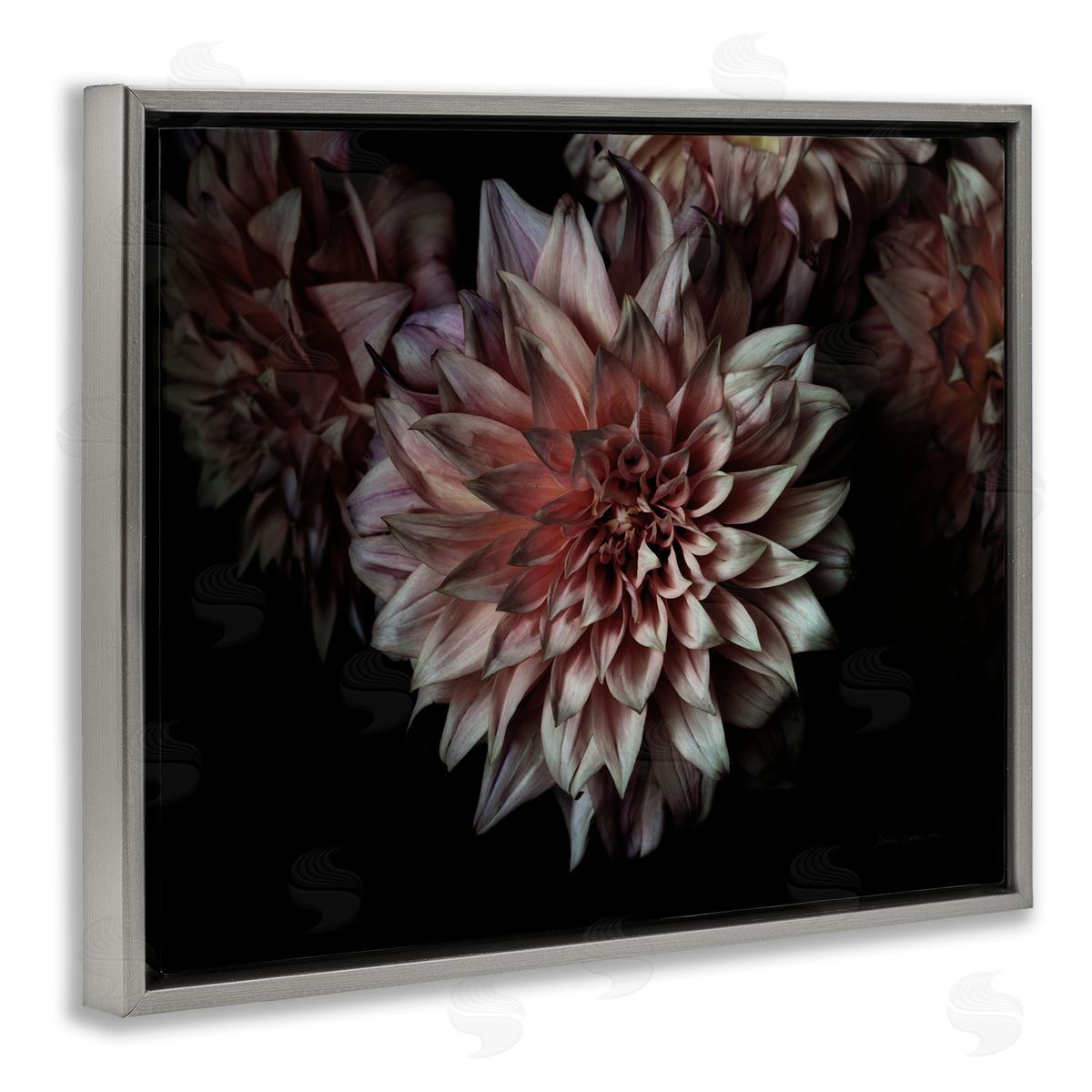 Aged Flower Petal Photograph Grey Floating Frame Canvas Wall Art, Home Decor by Elise Catterall