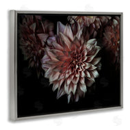 Elise Catterall | Aged Flower Petal Photograph