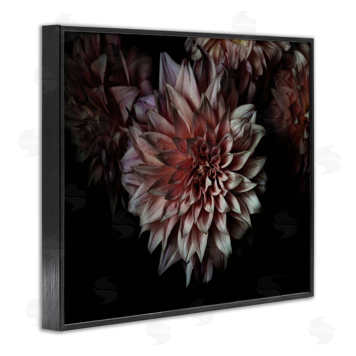 Aged Flower Petal Photograph Black Frame Print Wall Art, Home Decor by Elise Catterall