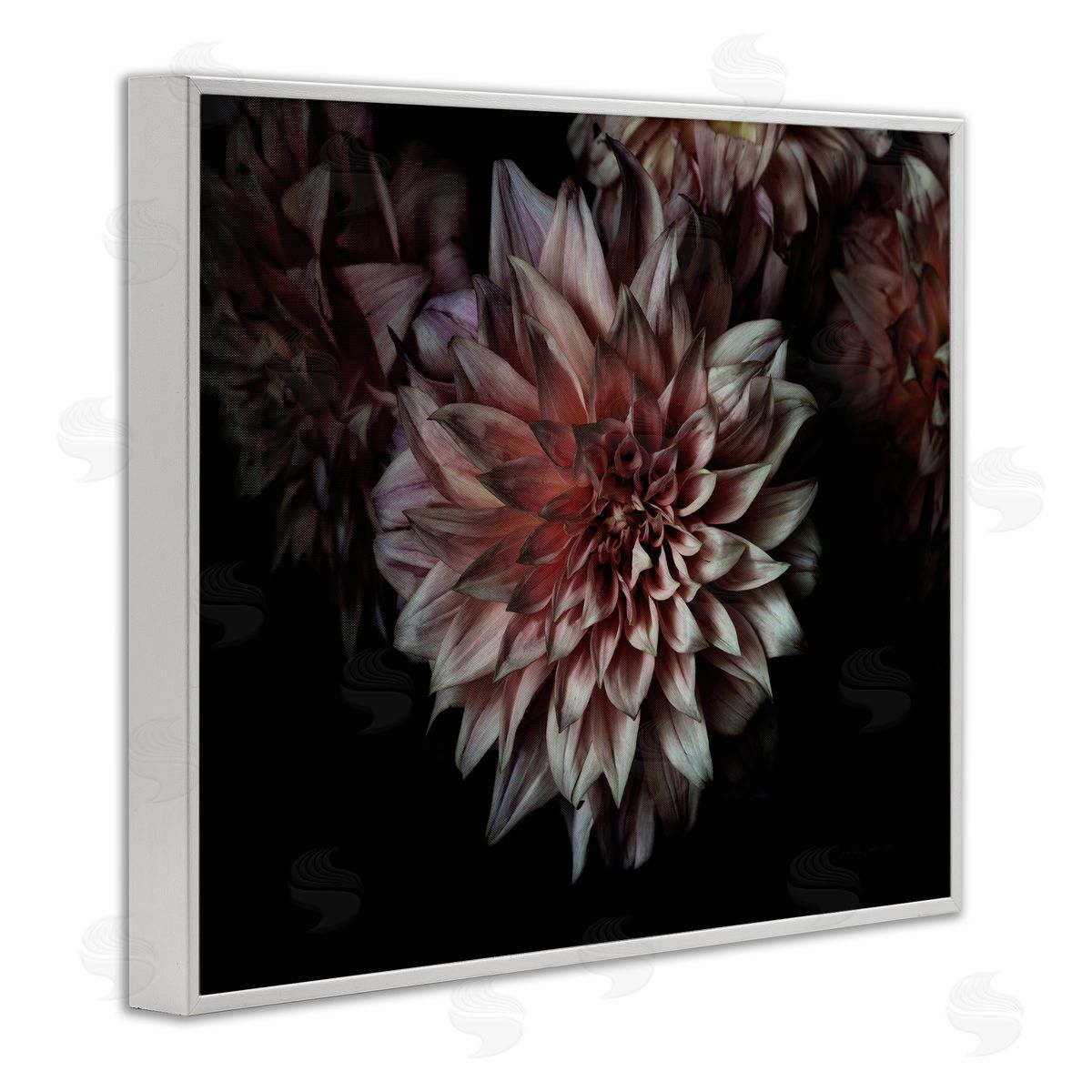 Aged Flower Petal Photograph White Frame Print Wall Art, Home Decor by Elise Catterall