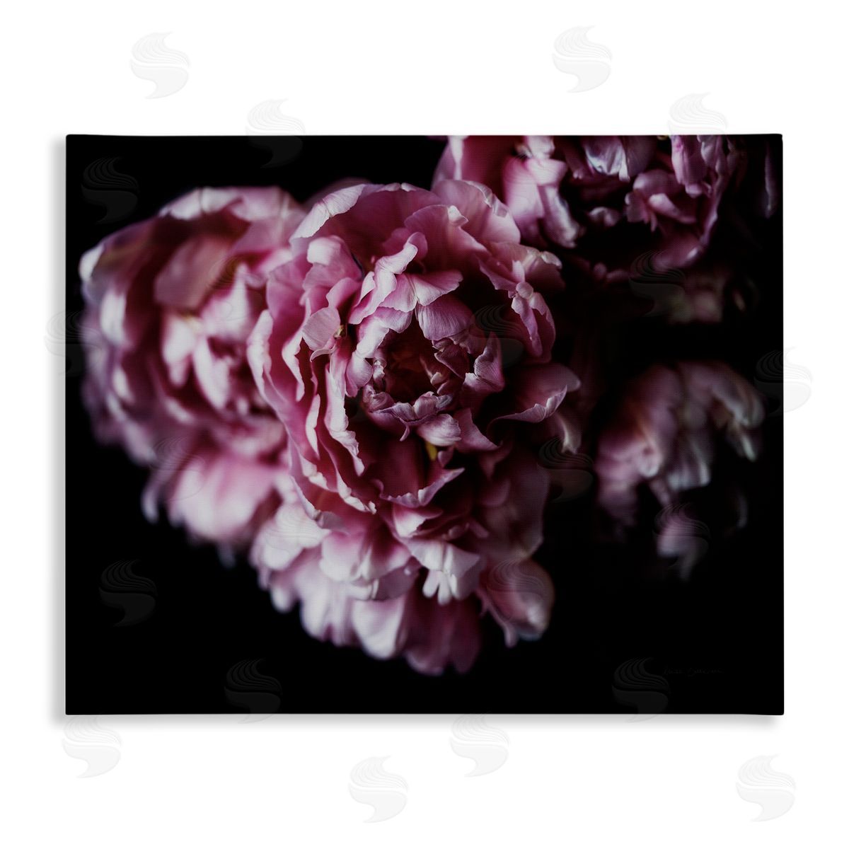 Withered Pink Bouquet Photograph Canvas Wall Art, Home Decor by Elise Catterall