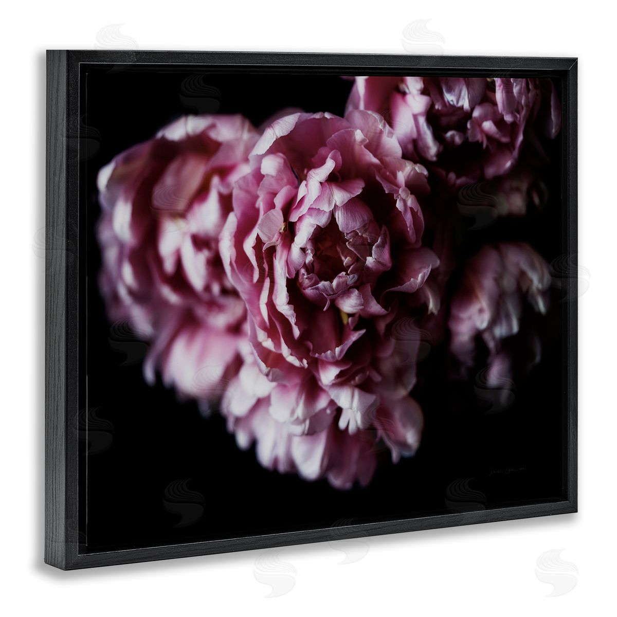 Withered Pink Bouquet Photograph Black Floating Frame Canvas Wall Art, Home Decor by Elise Catterall