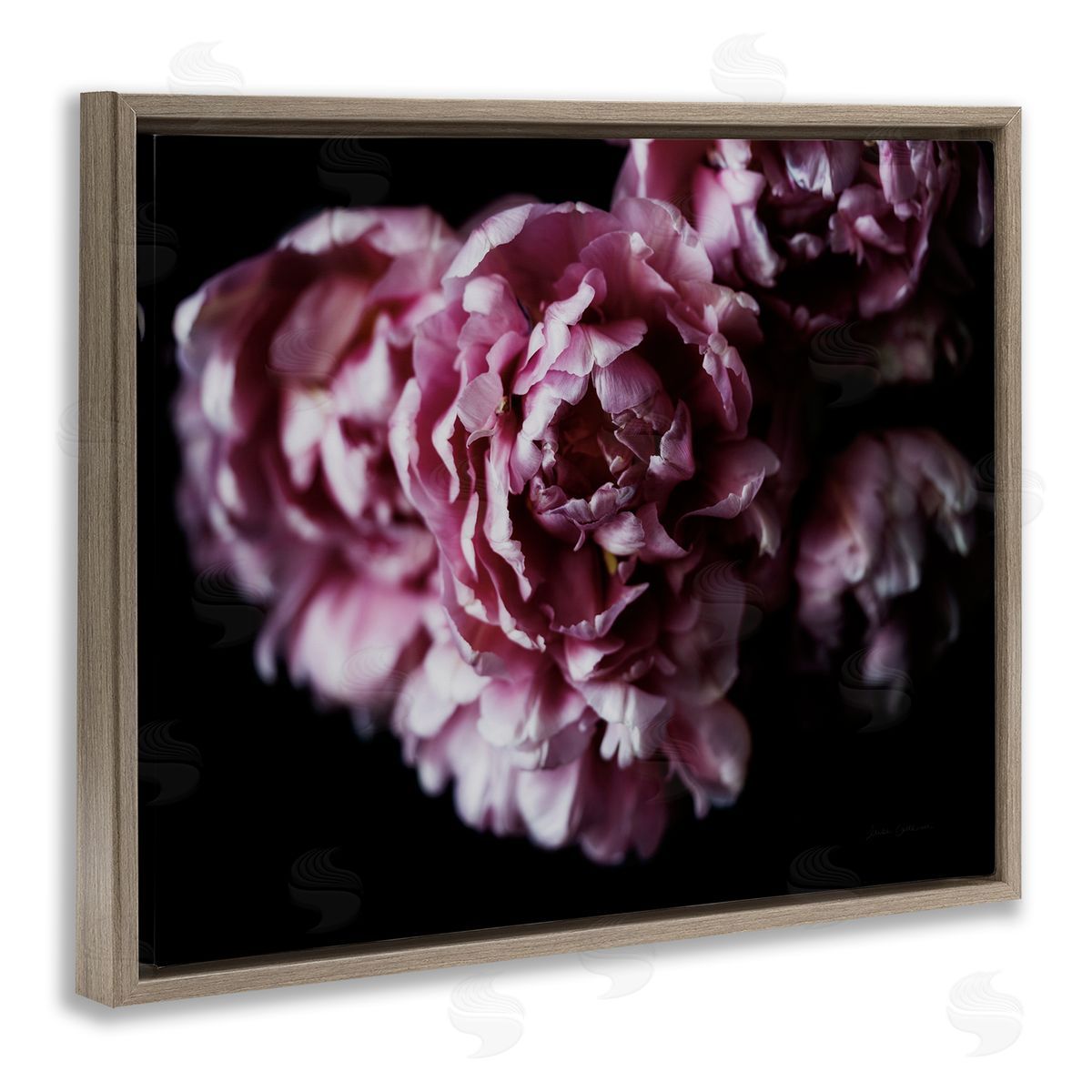 Withered Pink Bouquet Photograph Brown Floating Frame Canvas Wall Art, Home Decor by Elise Catterall
