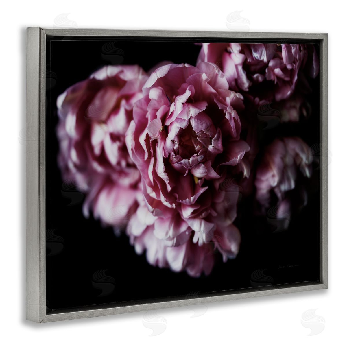 Withered Pink Bouquet Photograph Grey Floating Frame Canvas Wall Art, Home Decor by Elise Catterall