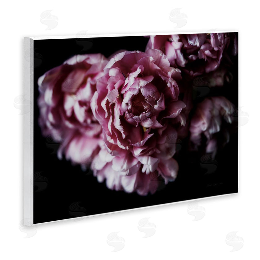 Elise Catterall | Withered Pink Bouquet Photograph