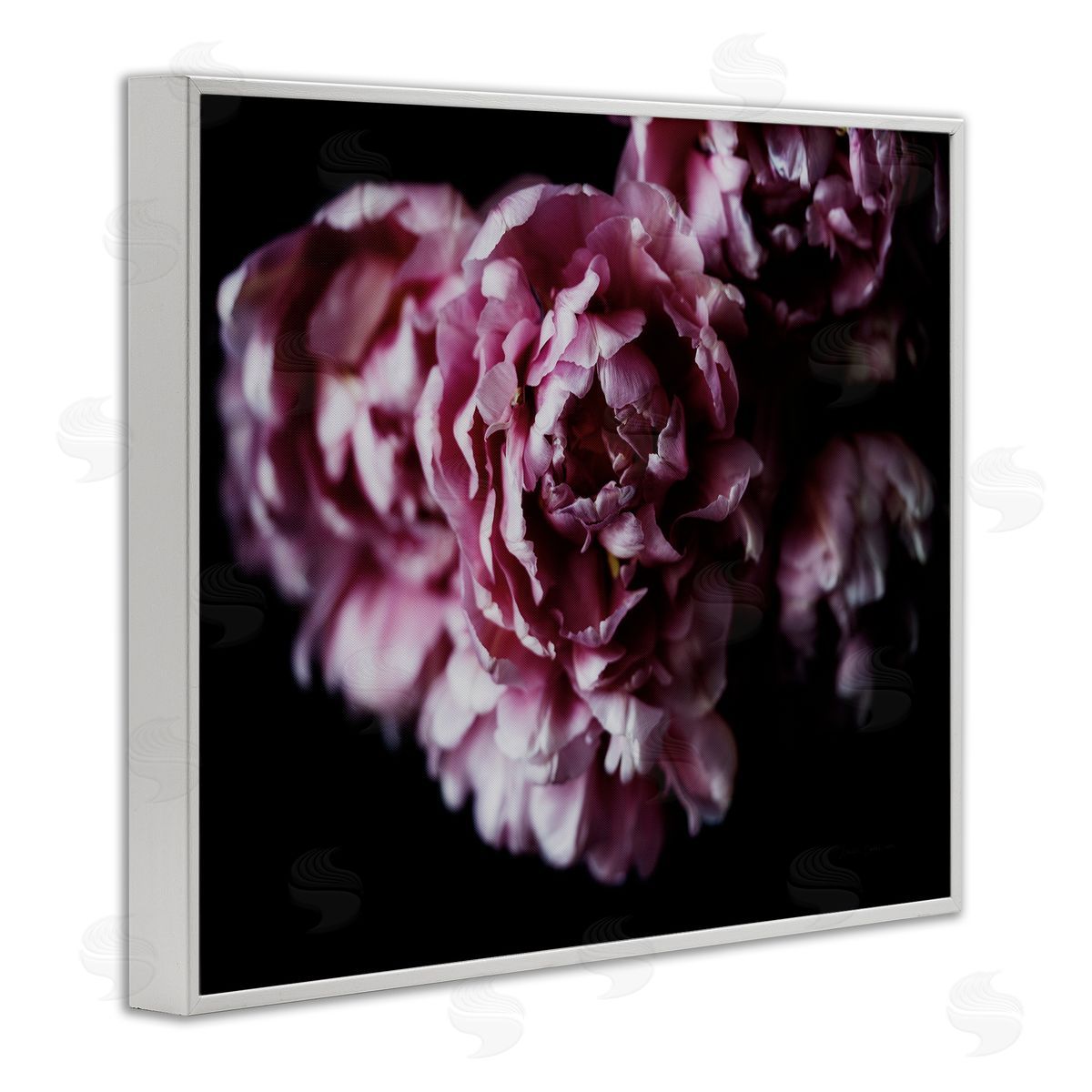 Withered Pink Bouquet Photograph White Frame Print Wall Art, Home Decor by Elise Catterall
