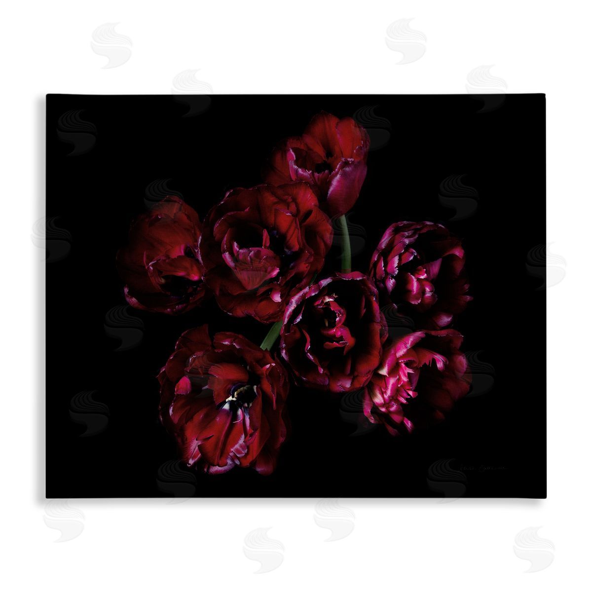 Dark Peonies Floral Bouquet Canvas Wall Art, Home Decor by Elise Catterall