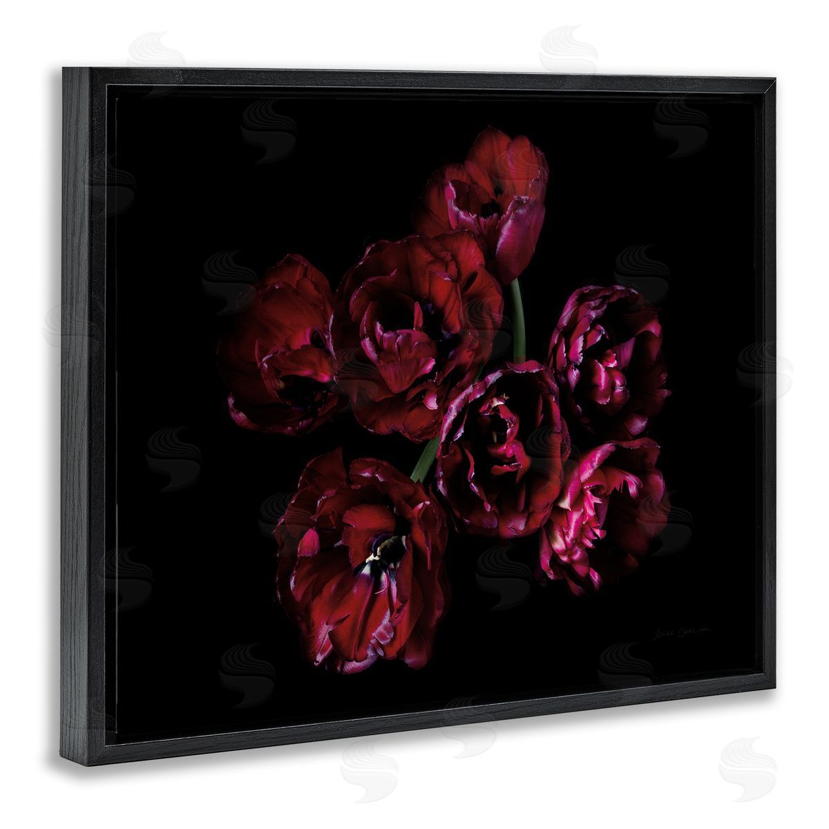 Dark Peonies Floral Bouquet Black Floating Frame Canvas Wall Art, Home Decor by Elise Catterall