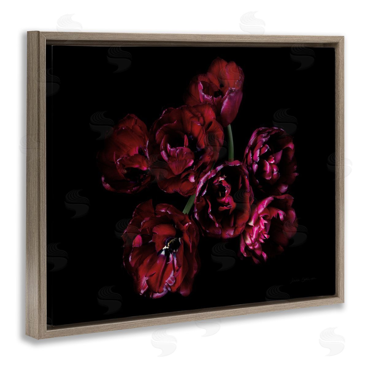 Dark Peonies Floral Bouquet Brown Floating Frame Canvas Wall Art, Home Decor by Elise Catterall