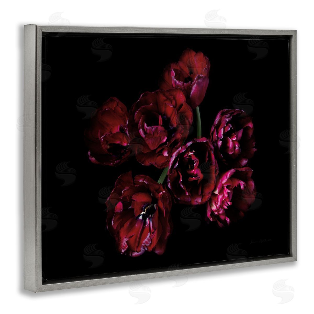 Dark Peonies Floral Bouquet Grey Floating Frame Canvas Wall Art, Home Decor by Elise Catterall