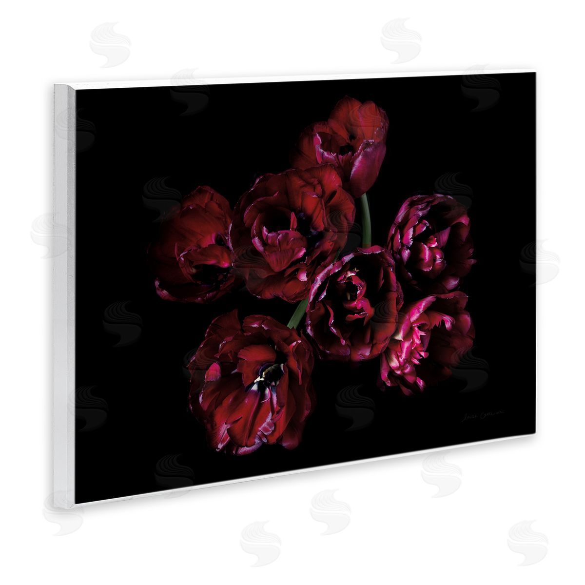 Dark Peonies Floral Bouquet Wood Plaque Wall Art, Home Decor by Elise Catterall