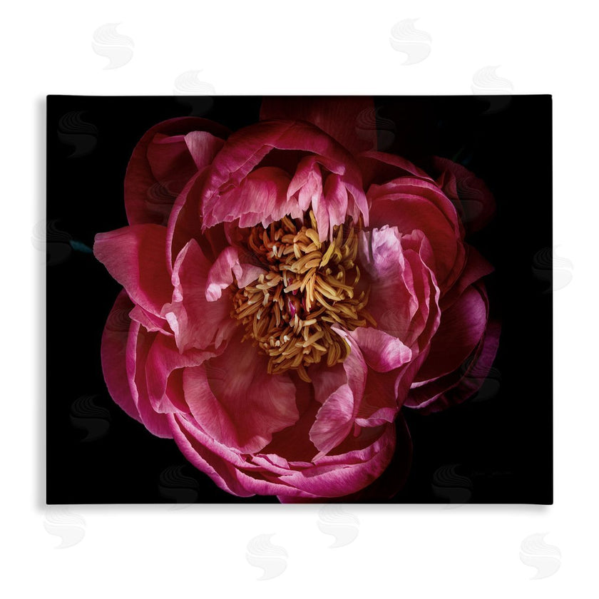Elise Catterall | Peony Flower Pistil Photograph