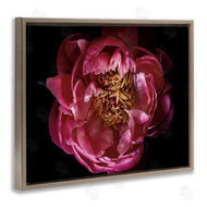 Elise Catterall | Peony Flower Pistil Photograph