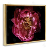 Elise Catterall | Peony Flower Pistil Photograph