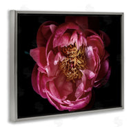 Elise Catterall | Peony Flower Pistil Photograph