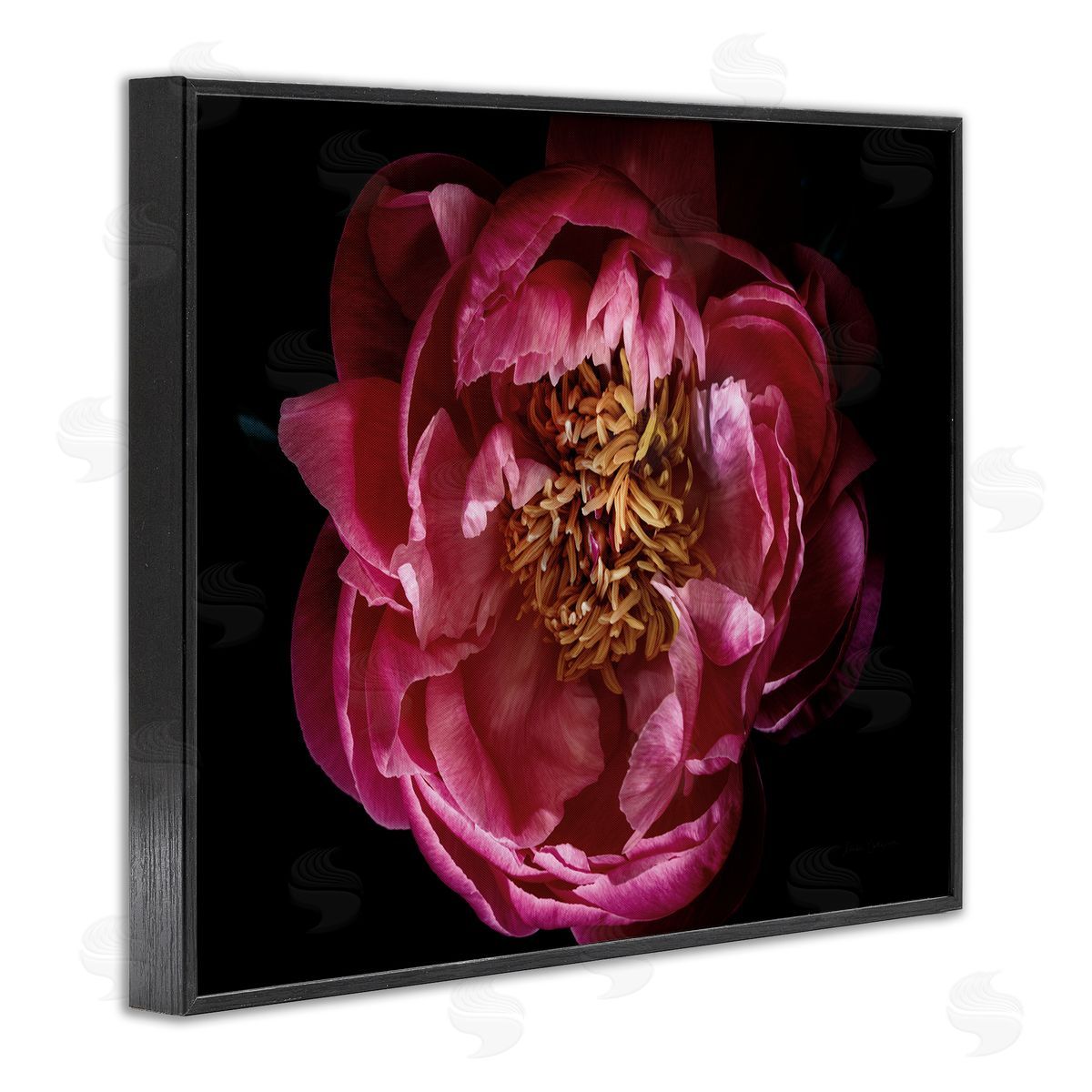 Peony Flower Pistil Photograph Black Frame Print Wall Art, Home Decor by Elise Catterall
