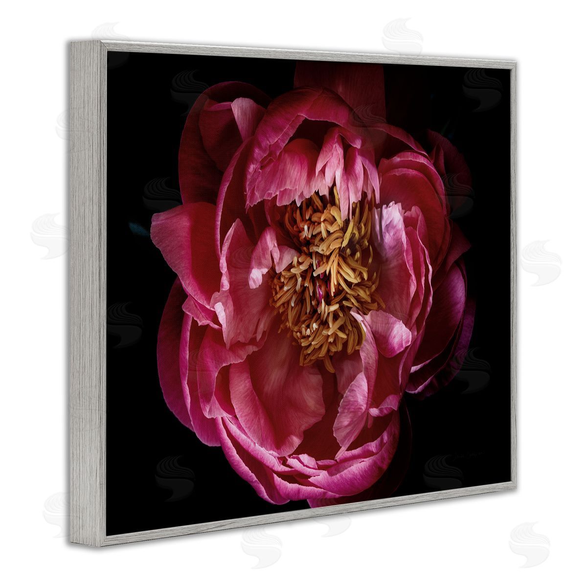 Peony Flower Pistil Photograph Grey Frame Print Wall Art, Home Decor by Elise Catterall