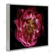 Elise Catterall | Peony Flower Pistil Photograph