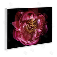 Elise Catterall | Peony Flower Pistil Photograph