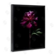 Elise Catterall | Long Stem Flower Photograph