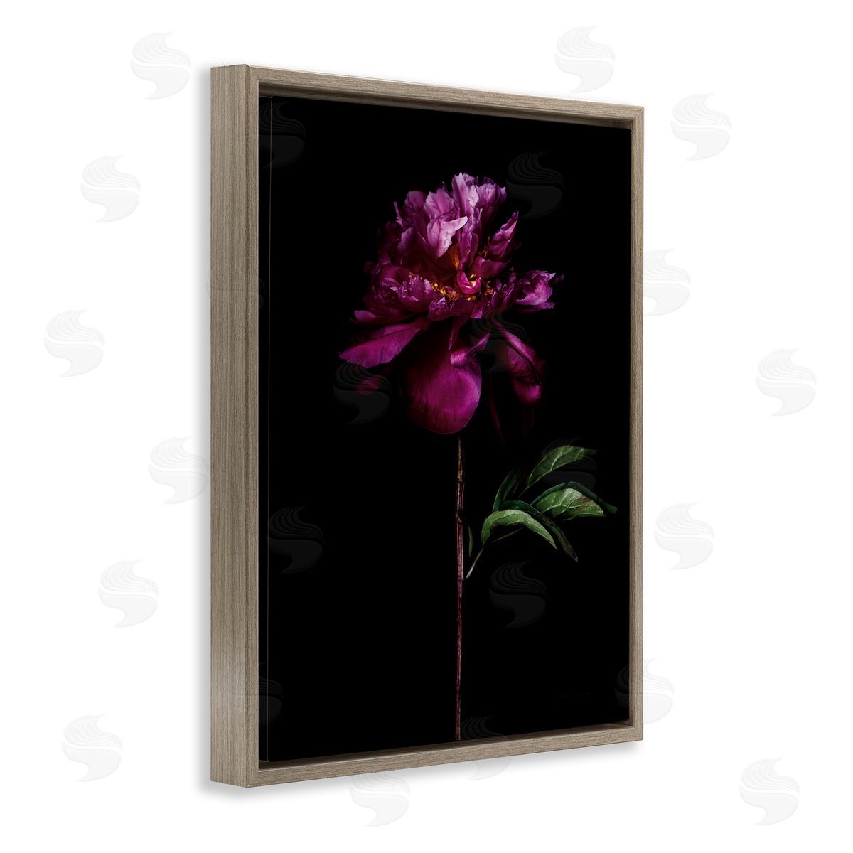 Long Stem Flower Photograph Brown Floating Frame Canvas Wall Art, Home Decor by Elise Catterall