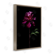 Elise Catterall | Long Stem Flower Photograph